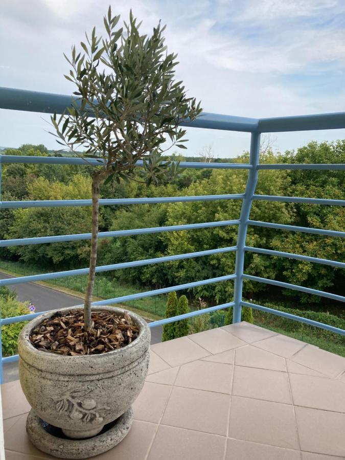 Libellula Apartman Хевиз Экстерьер фото
